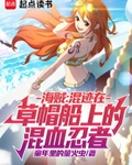 海贼：混迹在草帽船上的混血忍者