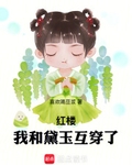 红楼：我和黛玉互穿了