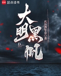 大明黑帆